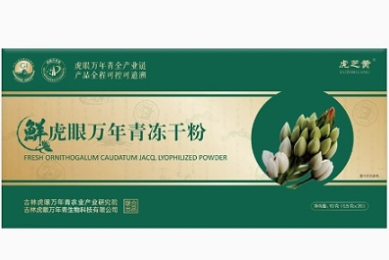 优秀班主任的职校工作计划（实用18篇）